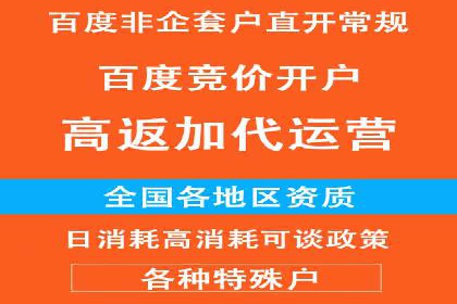 百度推广案例：精准广告投放策略解析